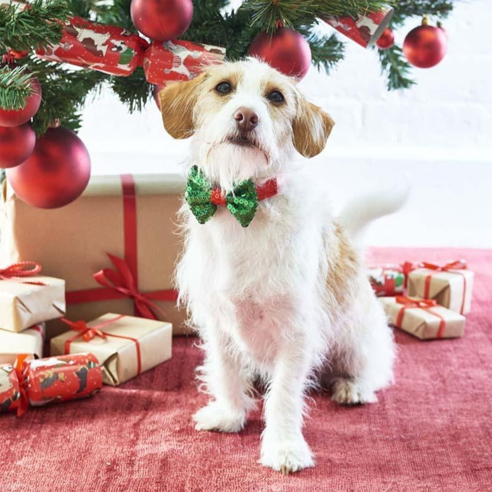 Fliege für Hunde "Christmas"