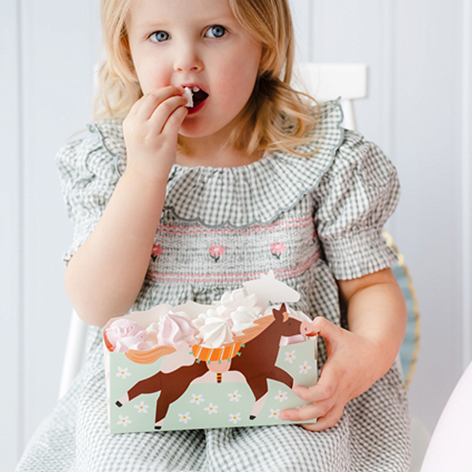 Snackboxen "Pferde" 3 Stück Snackboxen "Pferde" 3 Stück