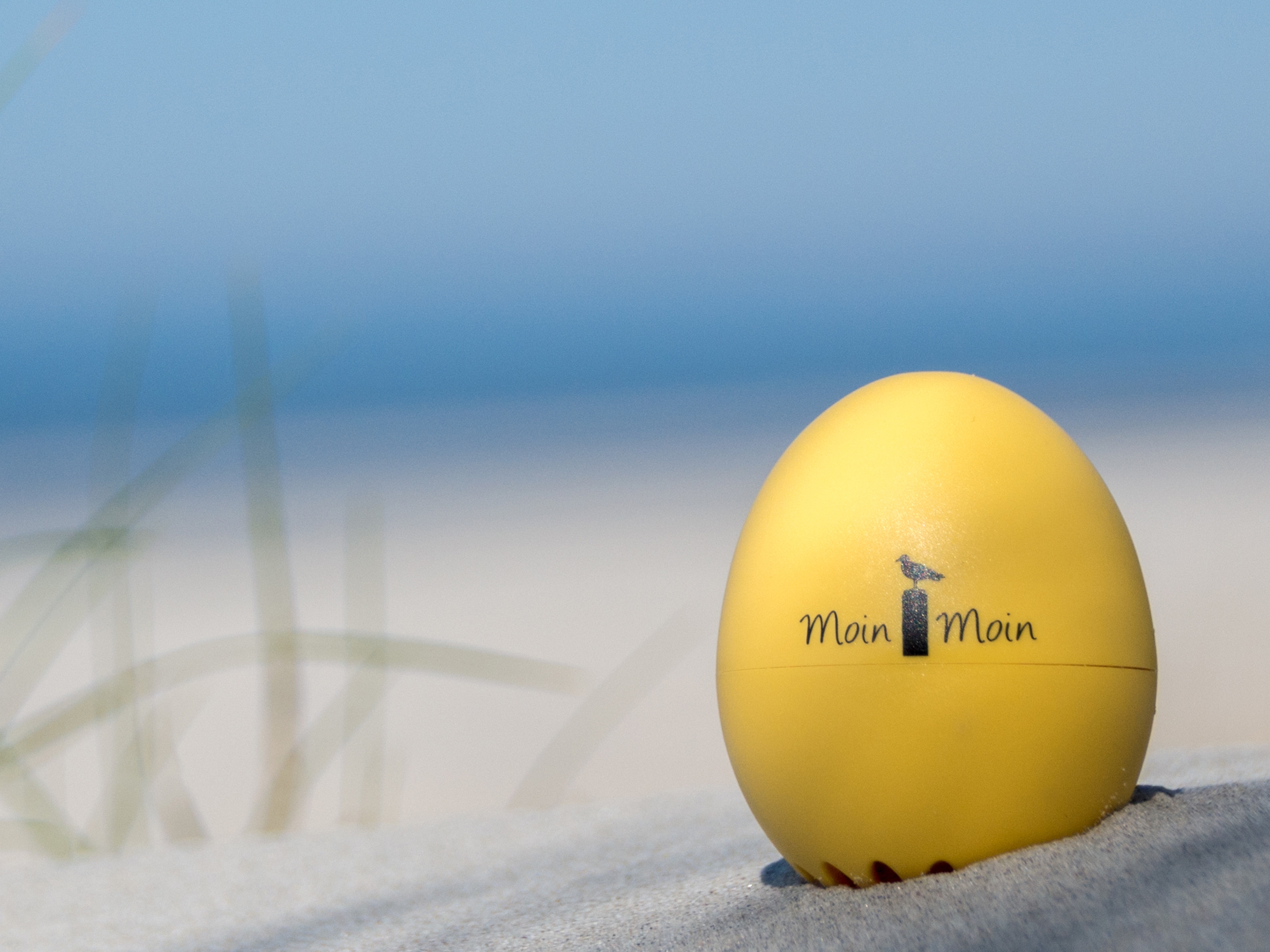 PiepEi - Moin Moin PiepEi - Moin Moin