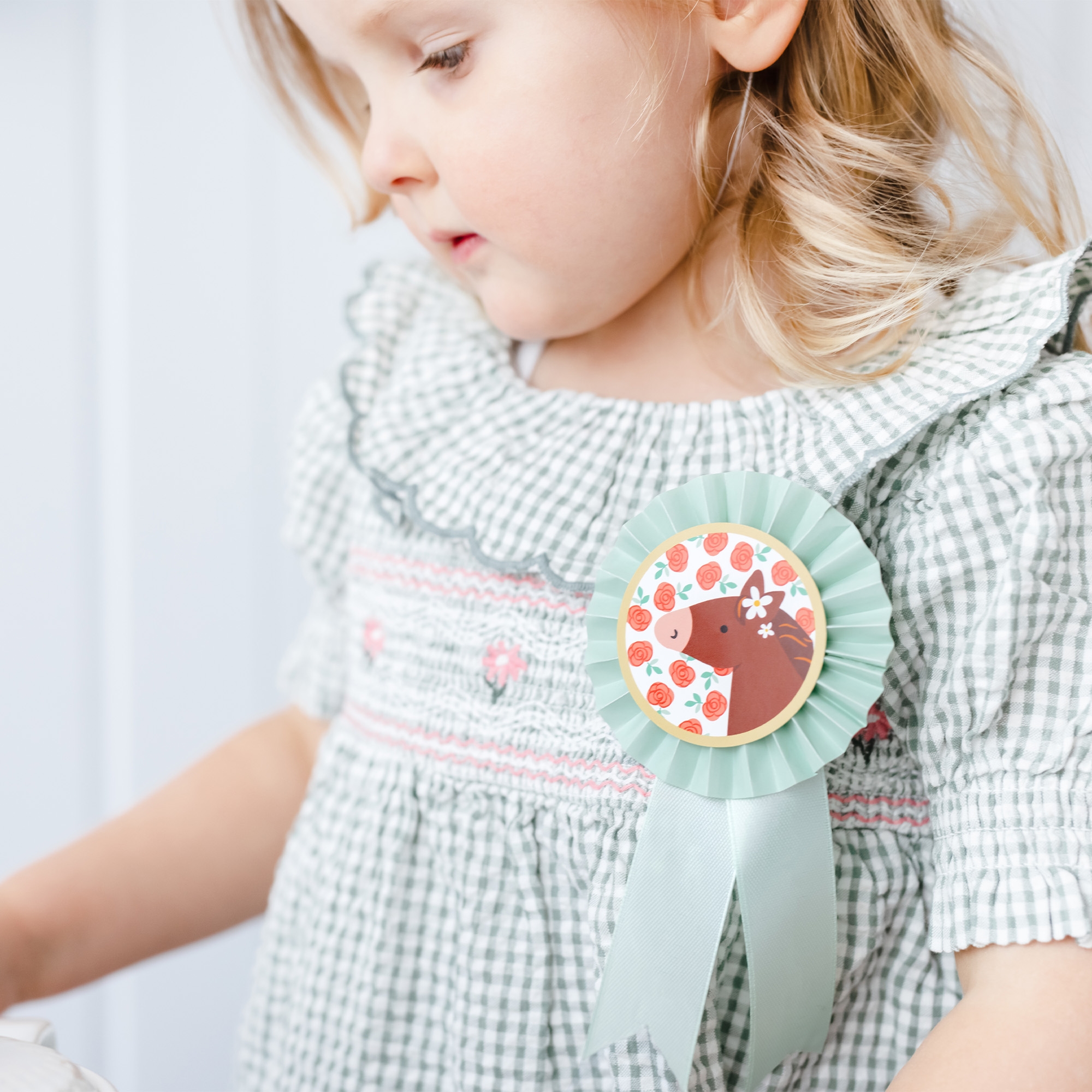 3 Rosetten zum anstecken "Pferde"