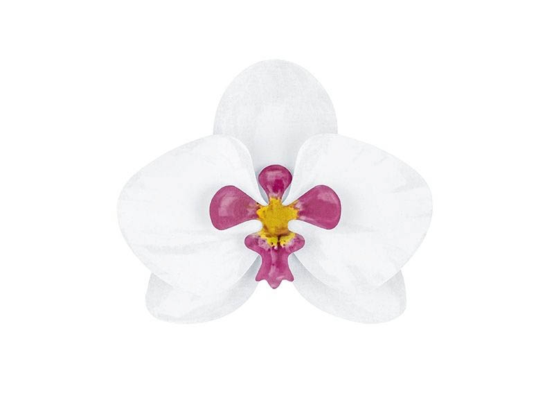 Aloha - DIY Bastelset Orchideen 36 tlg. Aloha - DIY Bastelset Orchideen 36 tlg.