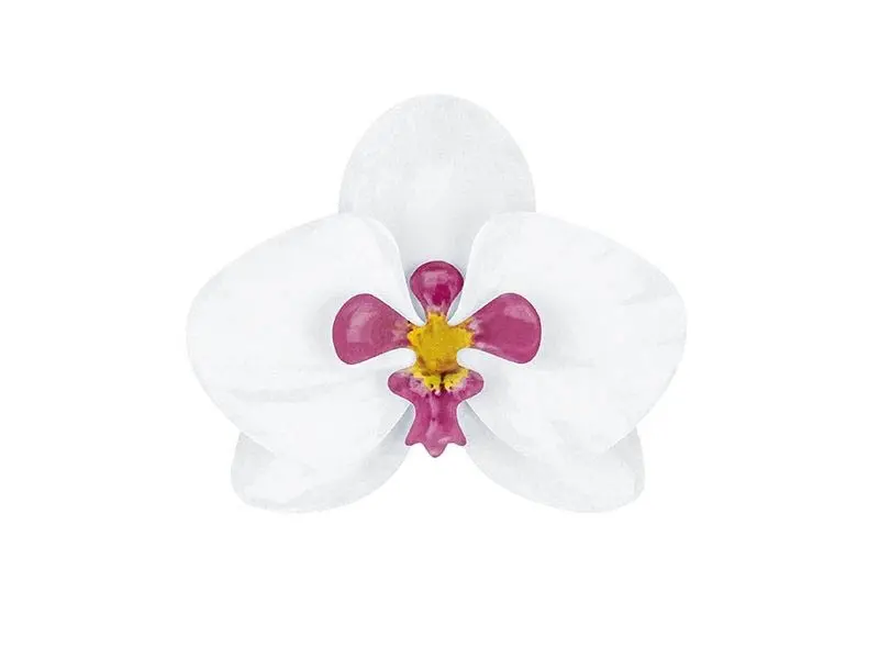 Aloha - DIY Bastelset Orchideen 36 tlg.
