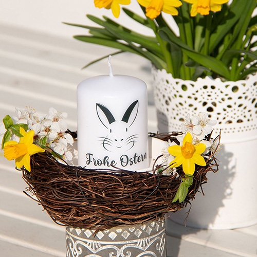 6898e932fc9bc2cb76164b9c0f8653de12029757 Blume, Blütenblatt, Pflanze, Blumen-Arrangement