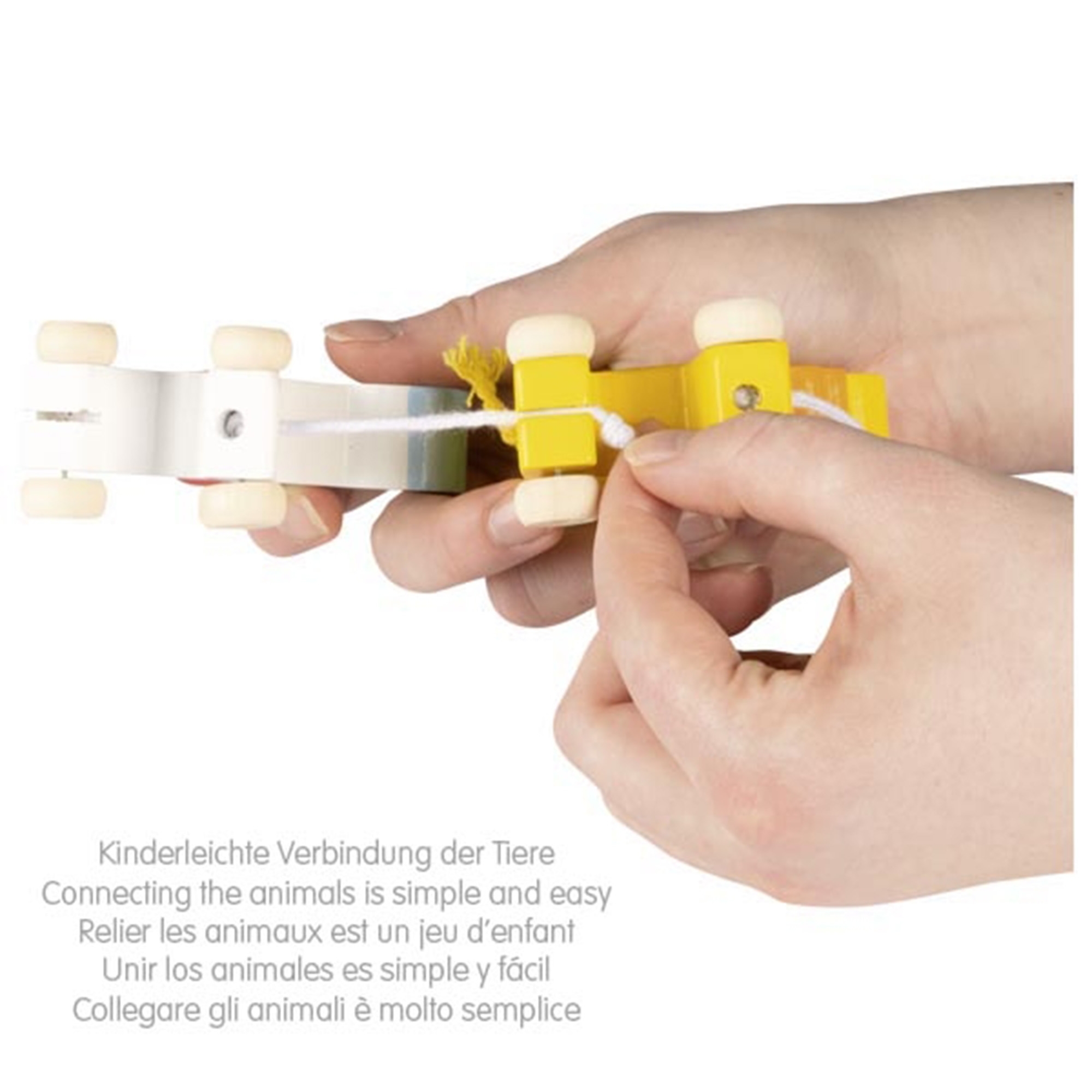 Goki - Geburtstagskarawane Goki - Geburtstagskarawane