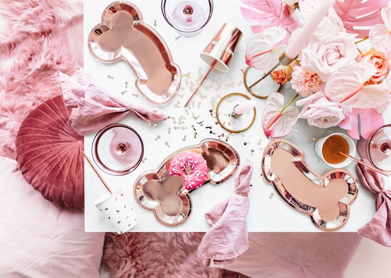 6 Pappteller "Same Penis forever" 6 Pappteller "Same Penis forever"