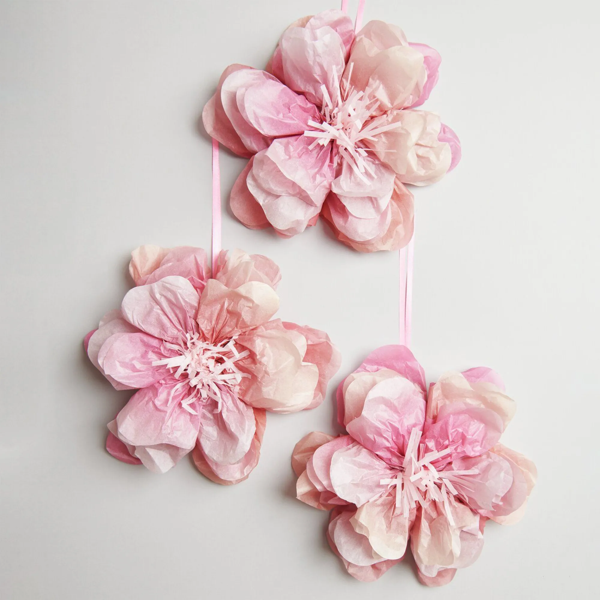 Blume, Pflanze, Dahlie