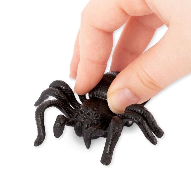 Aufzieh Spinne Aufzieh Spinne