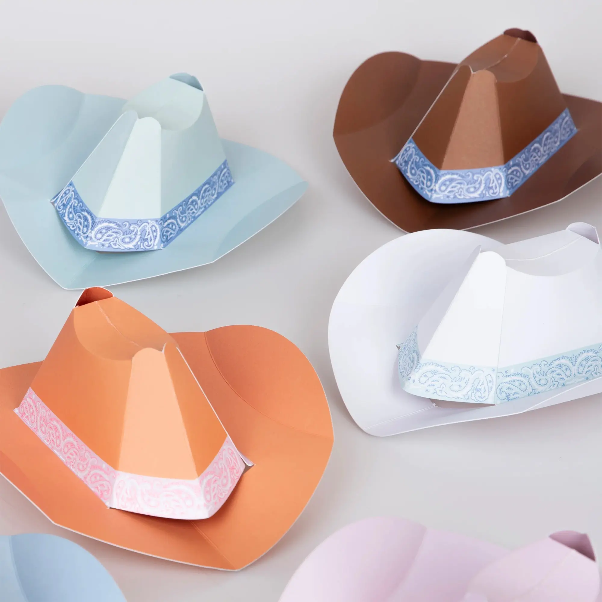 Bekleidung, Hut, Cowboy-Hut, Teller