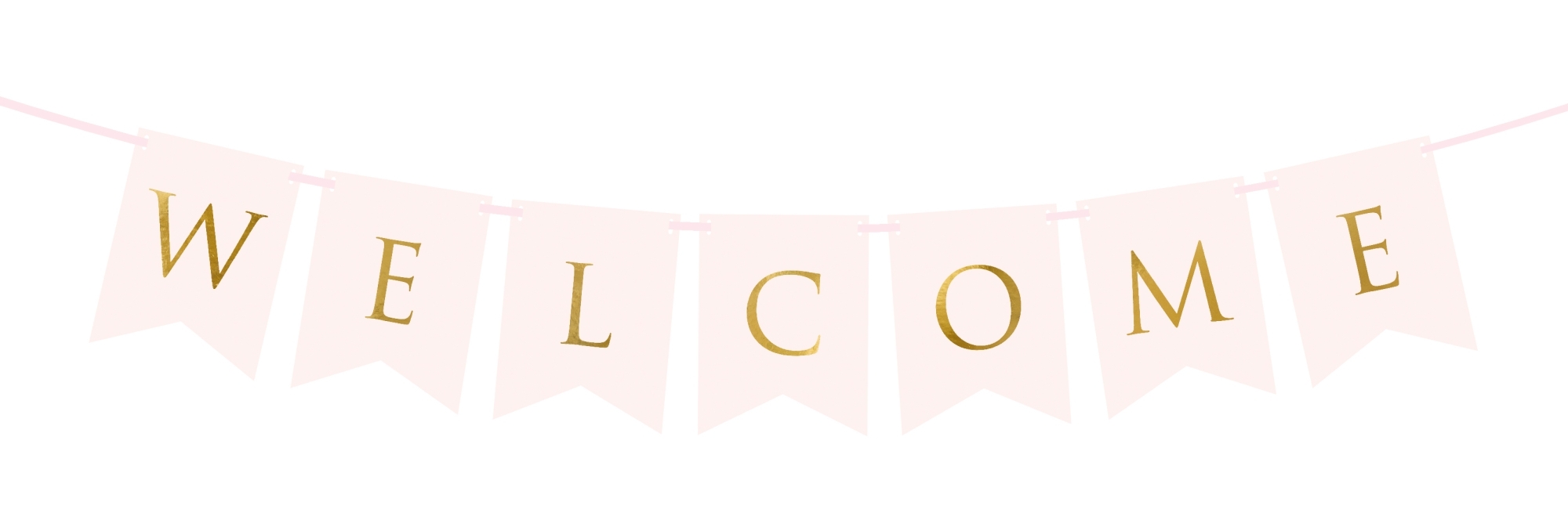 Girlande - Welcome Rosa
