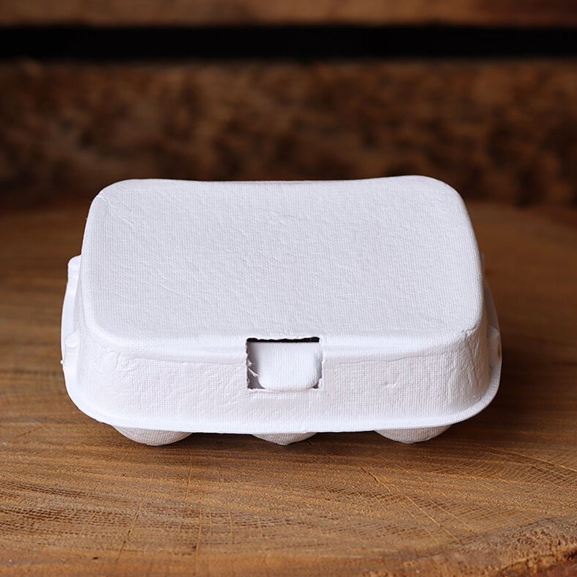 6er Eierkarton in Weiß 6er Eierkarton in Weiß