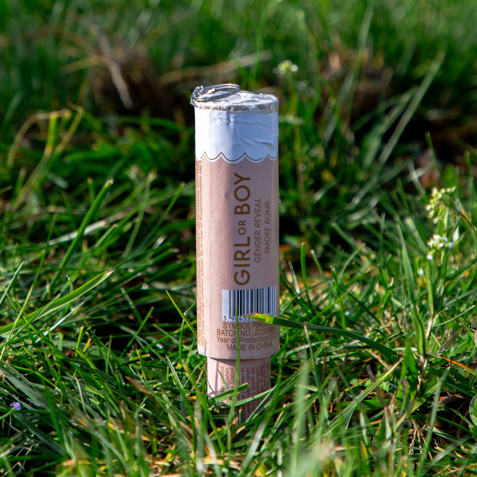 Kann, Zinn, Gras, Pflanze