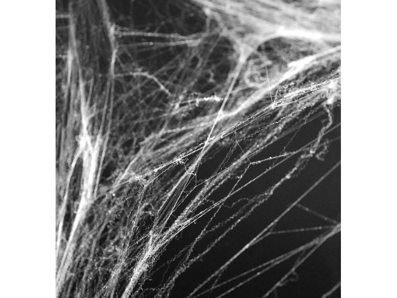 Halloween Party - Spinnennetz Halloween Party - Spinnennetz