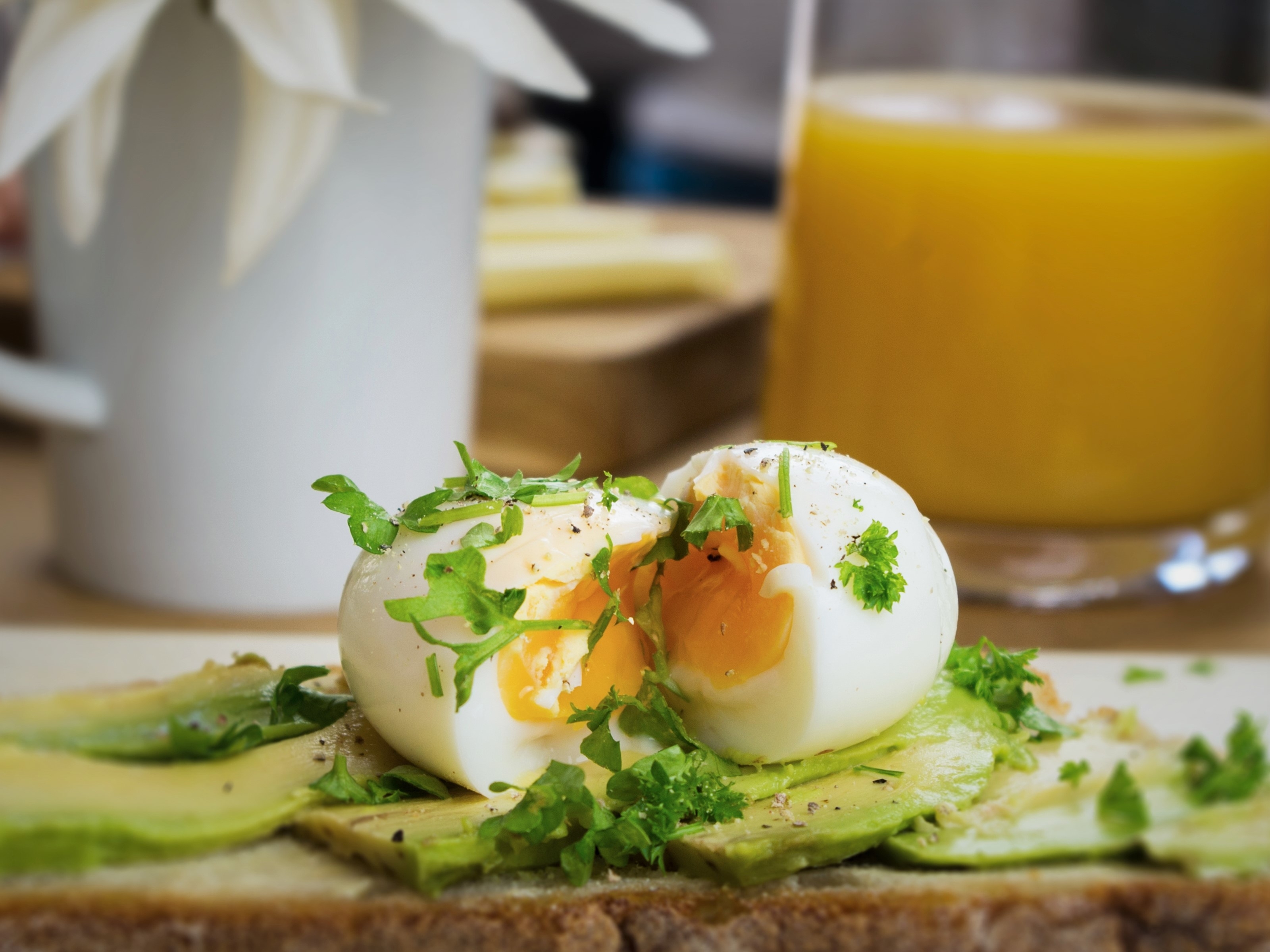 PiepEi - Küken PiepEi - Küken