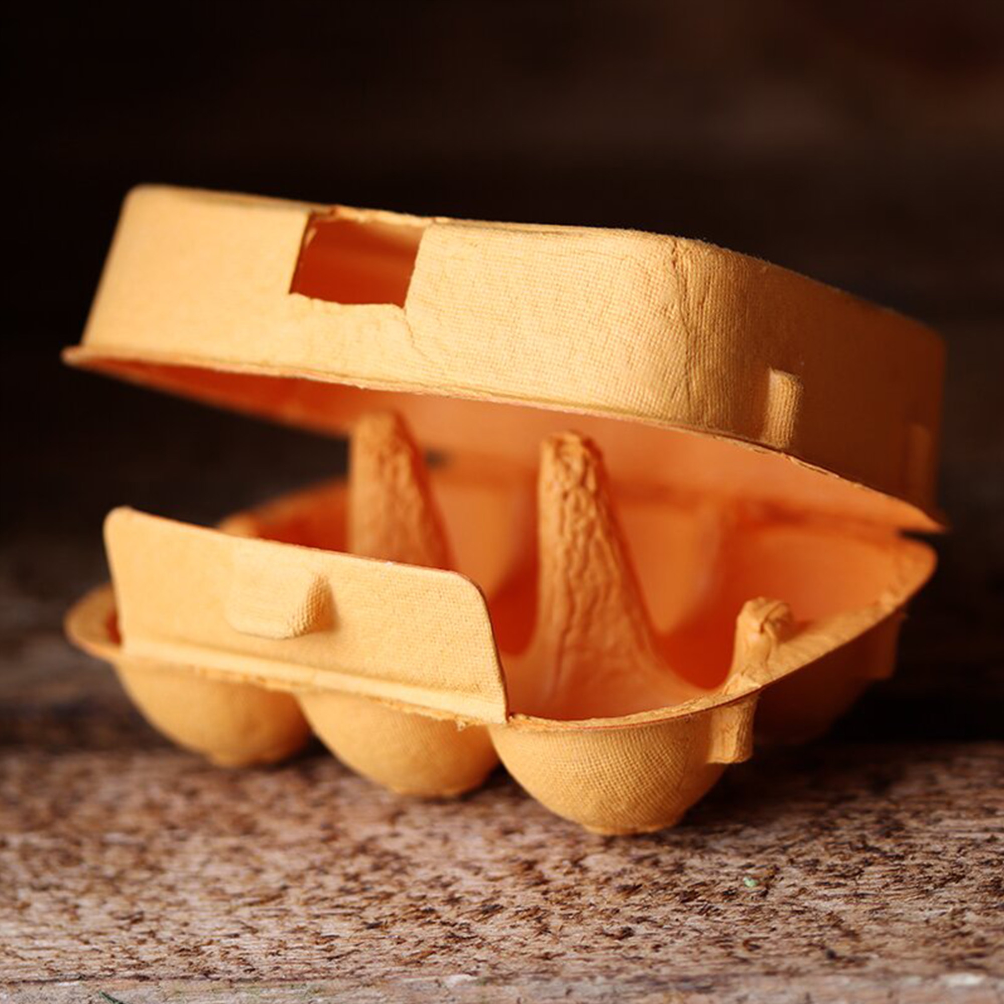 6er Eierkarton in Orange 6er Eierkarton in Orange