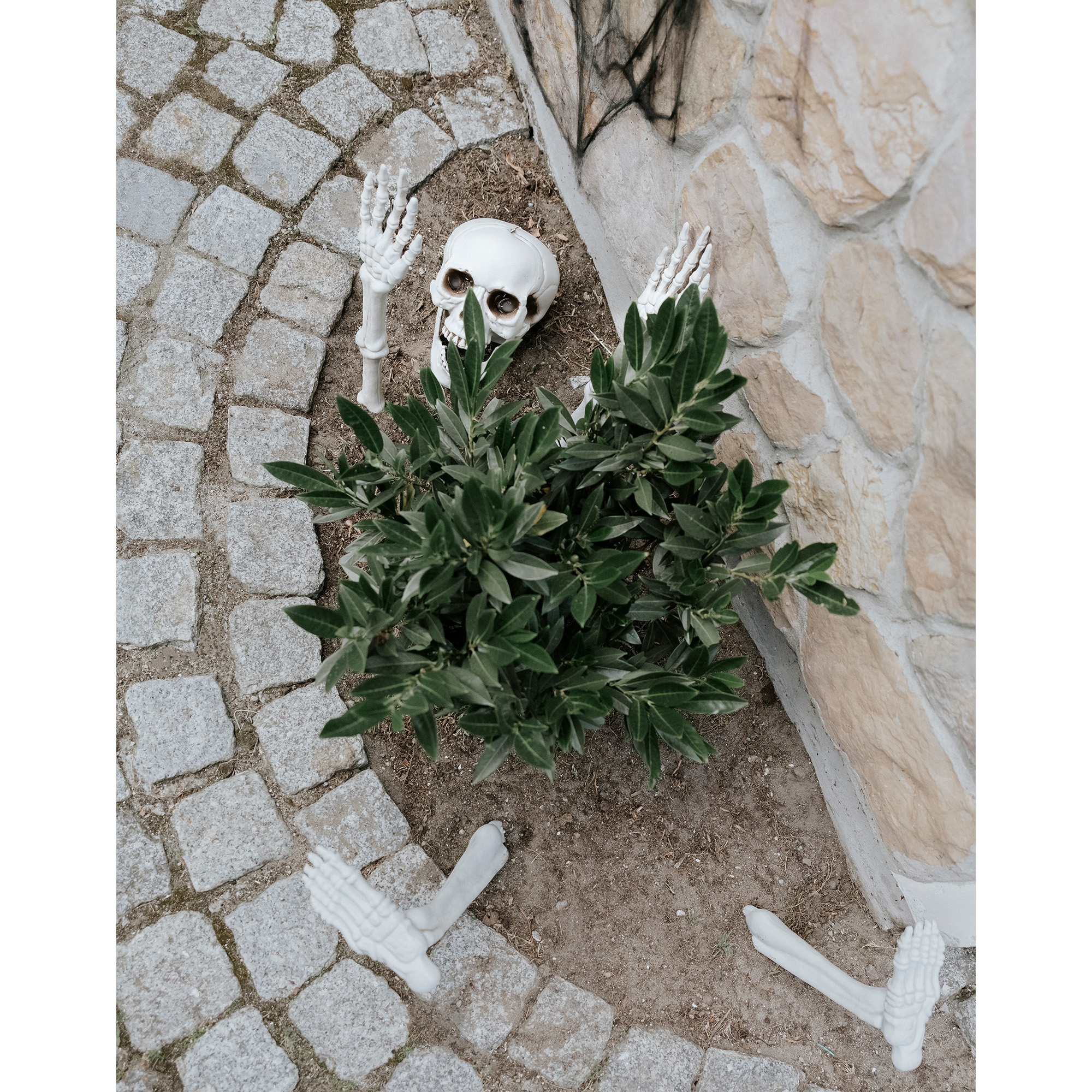 5 teiliges Skelett Deko Set 5 teiliges Skelett Deko Set