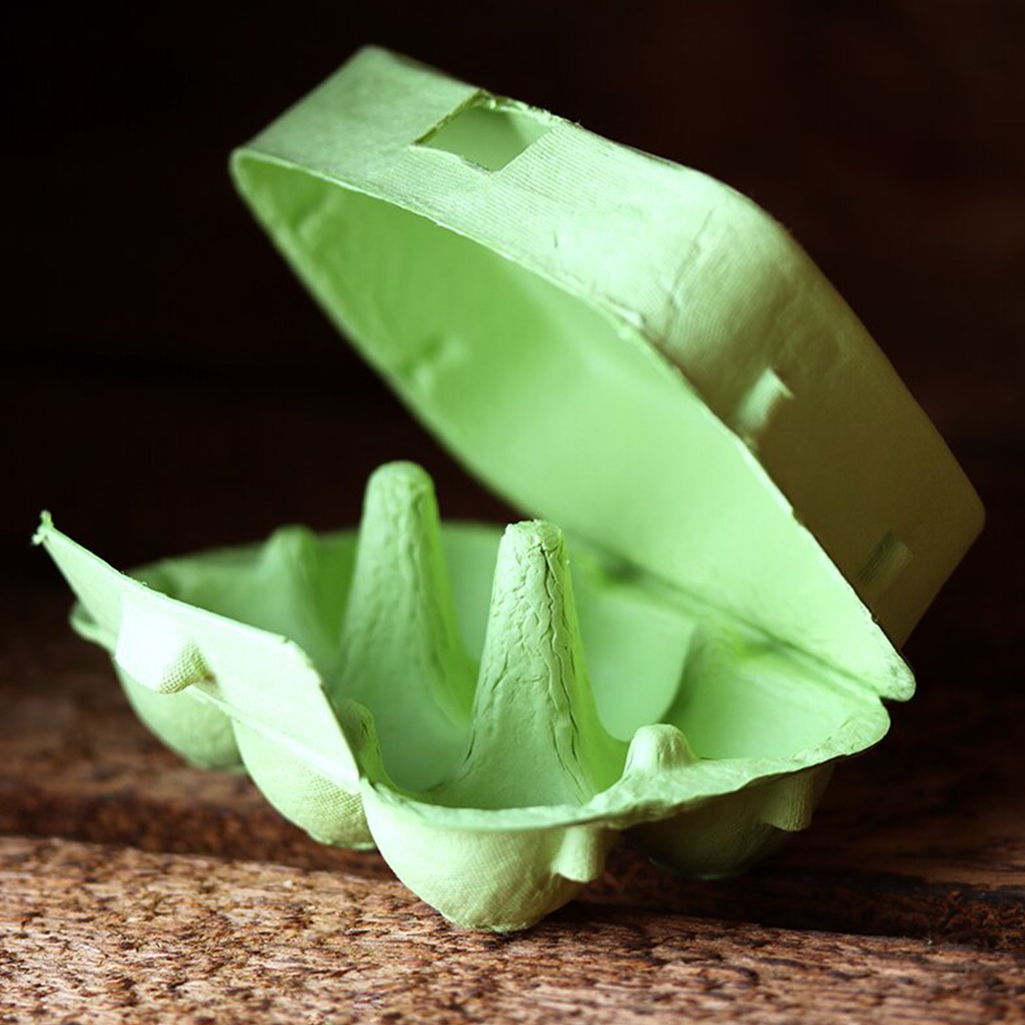 6er Eierkarton in Grün 6er Eierkarton in Grün