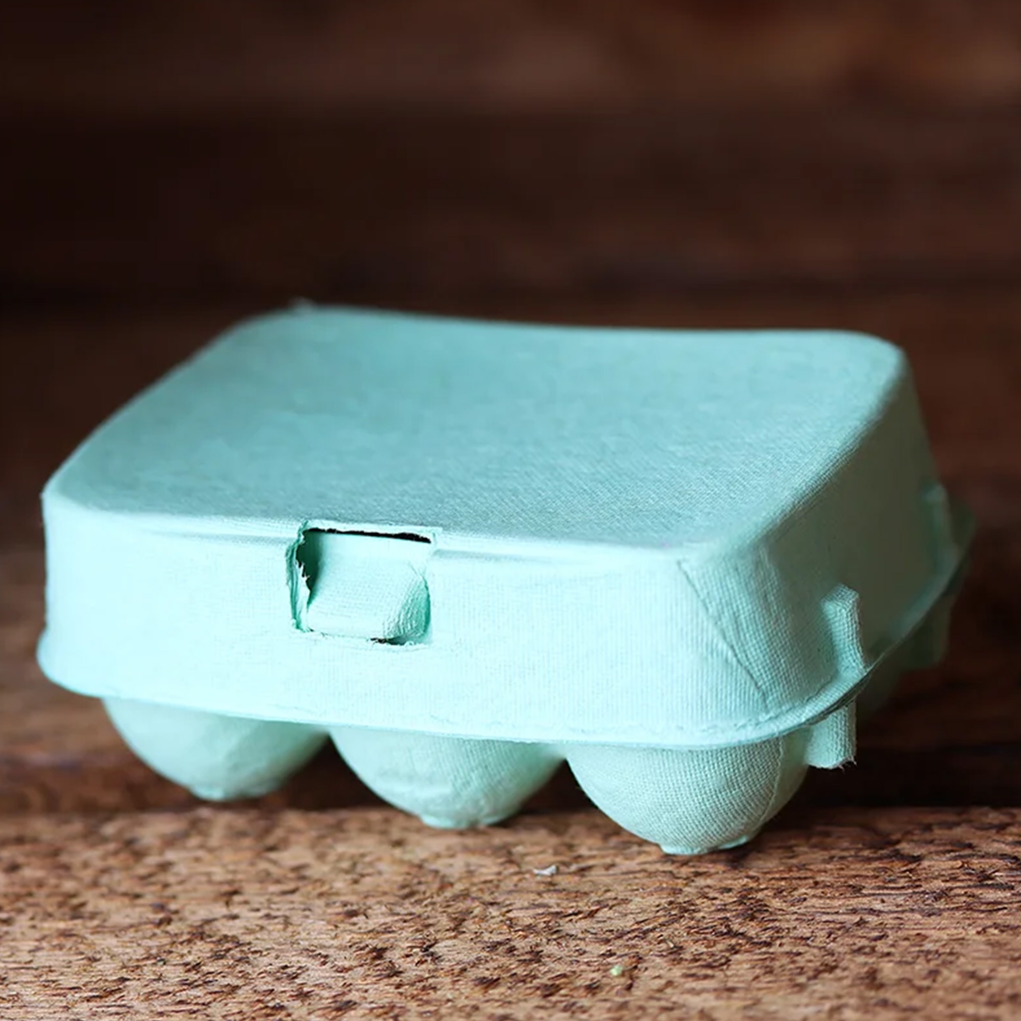 6er Eierkarton in Mint 6er Eierkarton in Mint