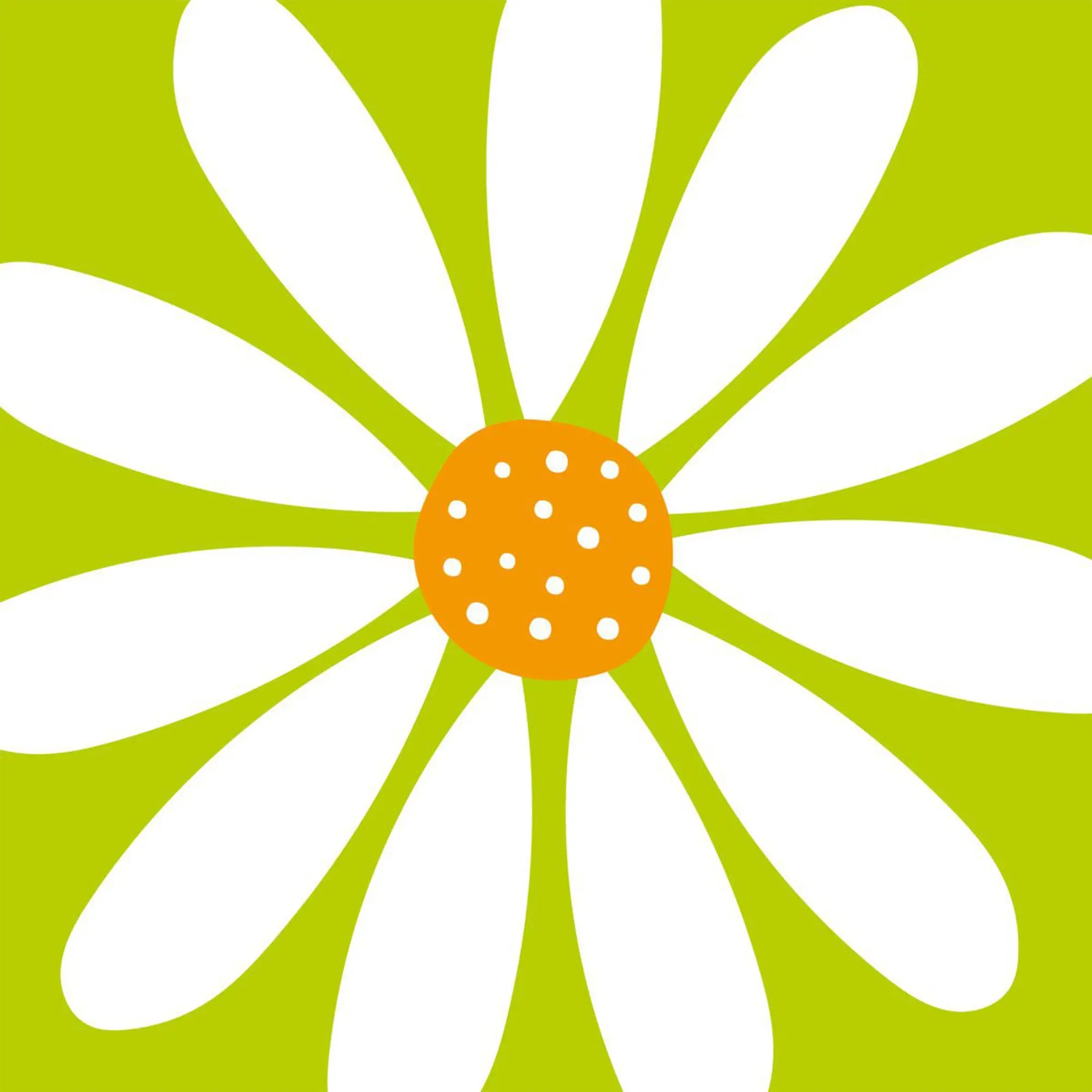 Gänseblümchen, Blume, Pflanze, Eine andere
