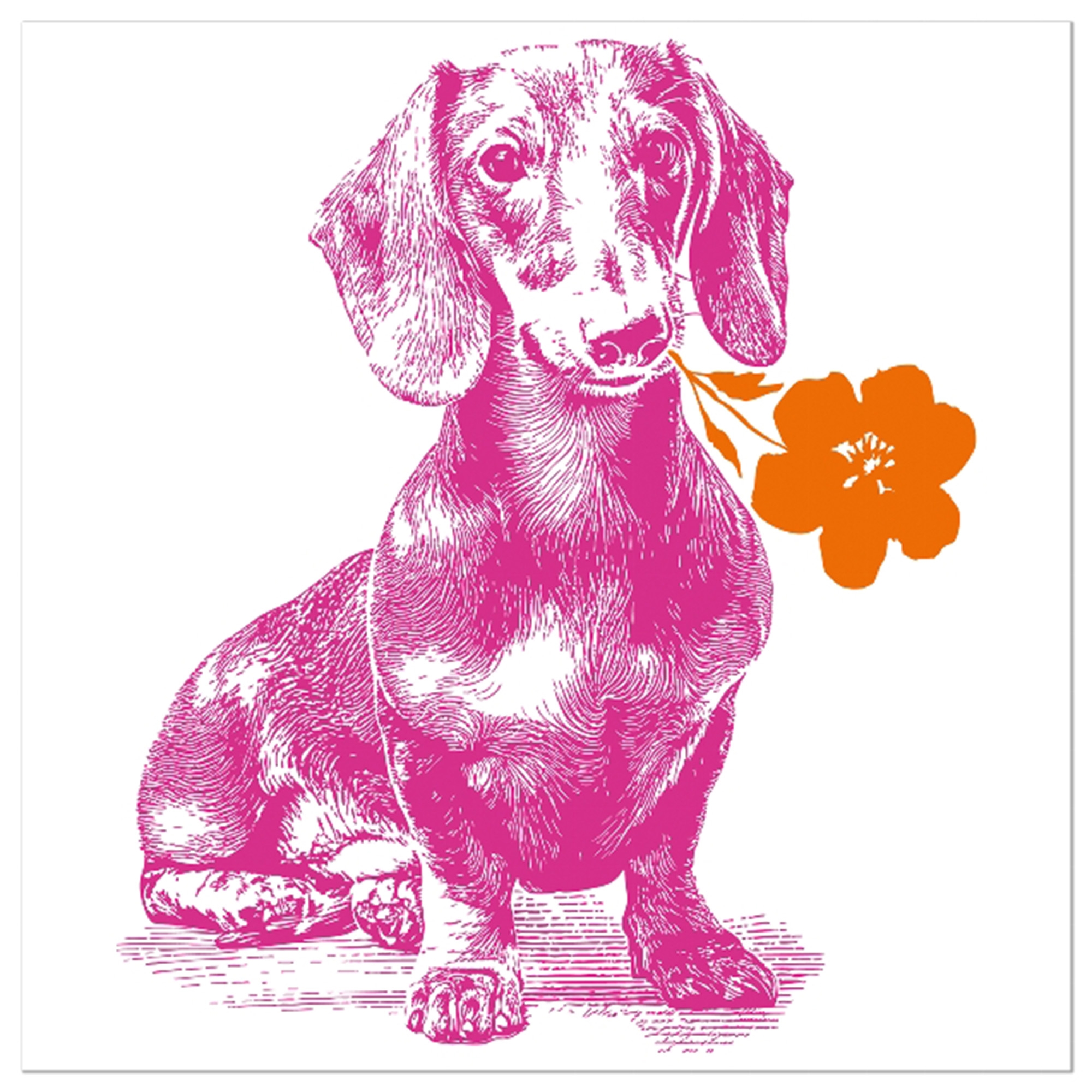 Hund, Haustier, Blume, Pflanze, Kunst