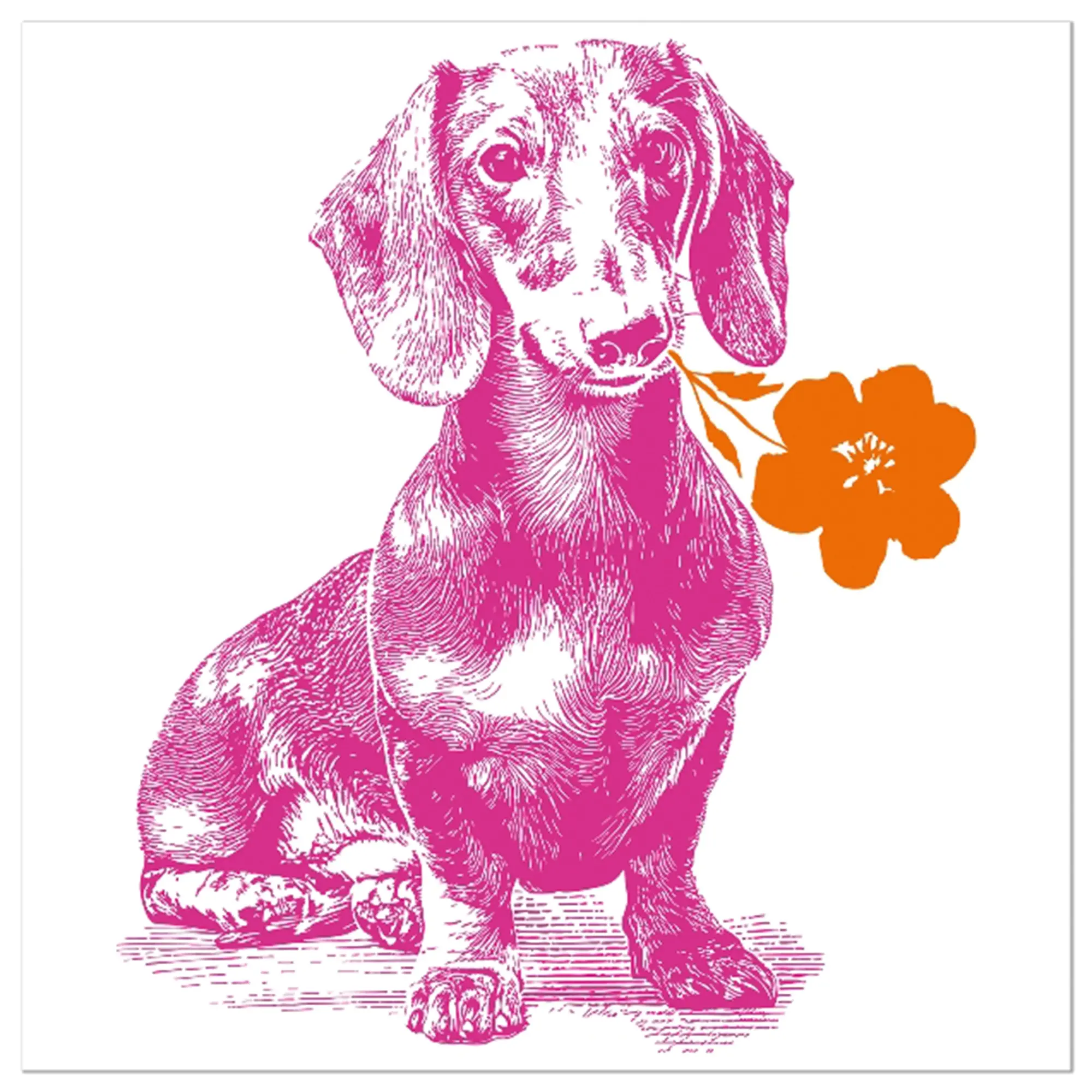 Hund, Haustier, Blume, Pflanze, Kunst