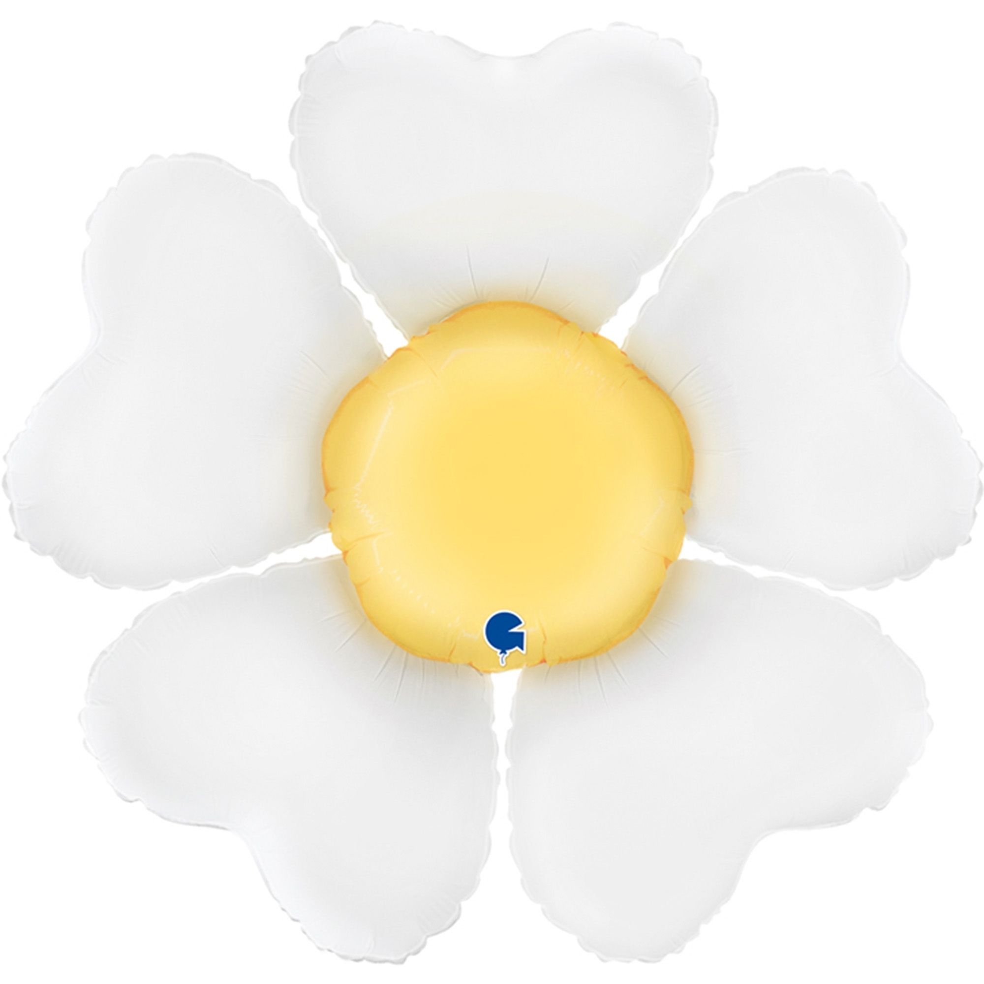 Anemone, Blume, Pflanze, Blütenblatt, Gänseblümchen