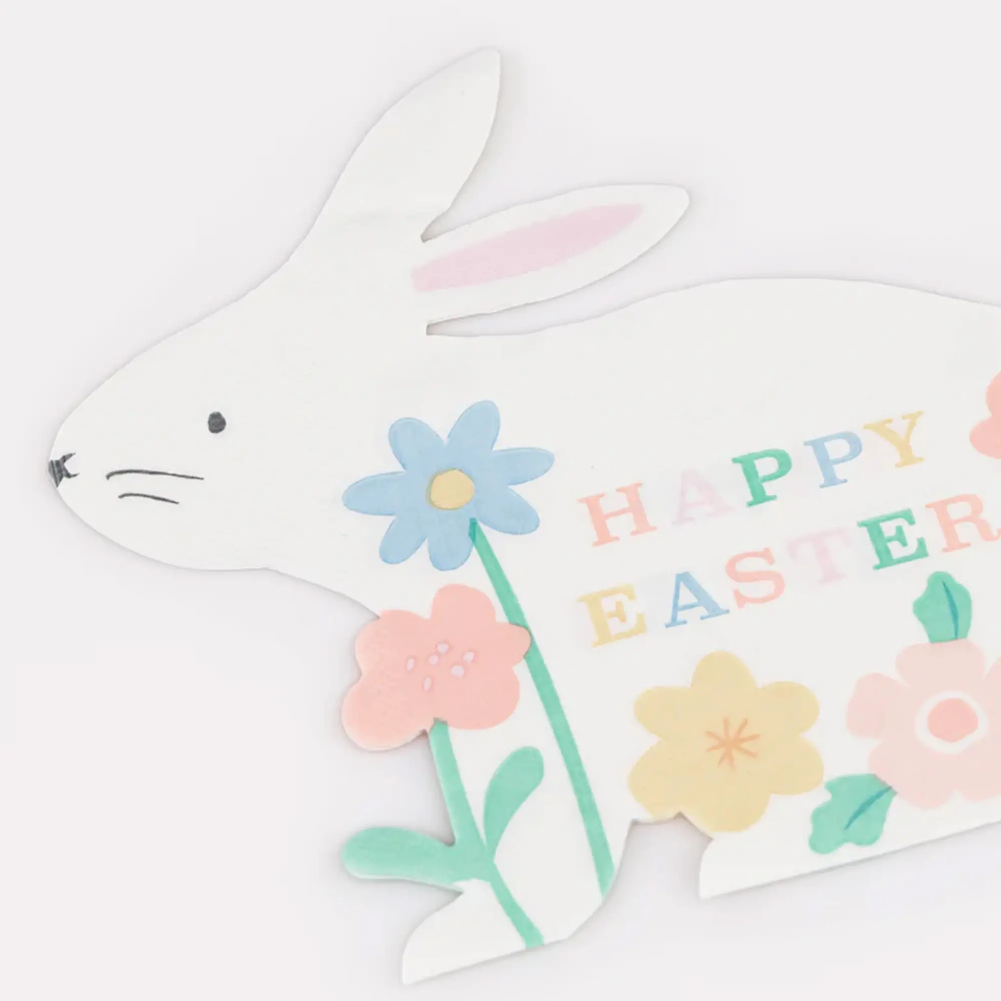 Tier, Säugetier, Hase