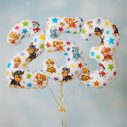Paw Patrol