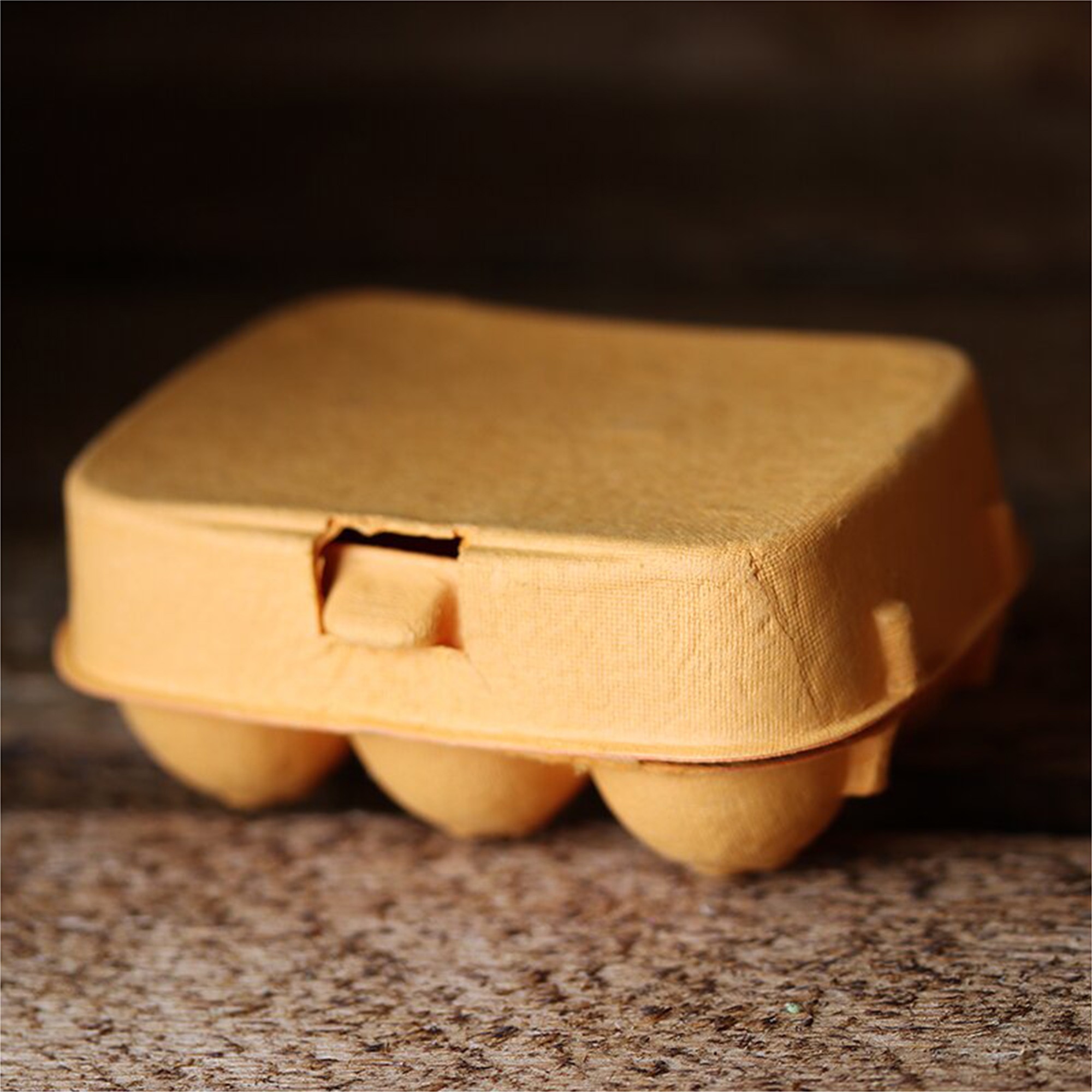 6er Eierkarton in Orange 6er Eierkarton in Orange