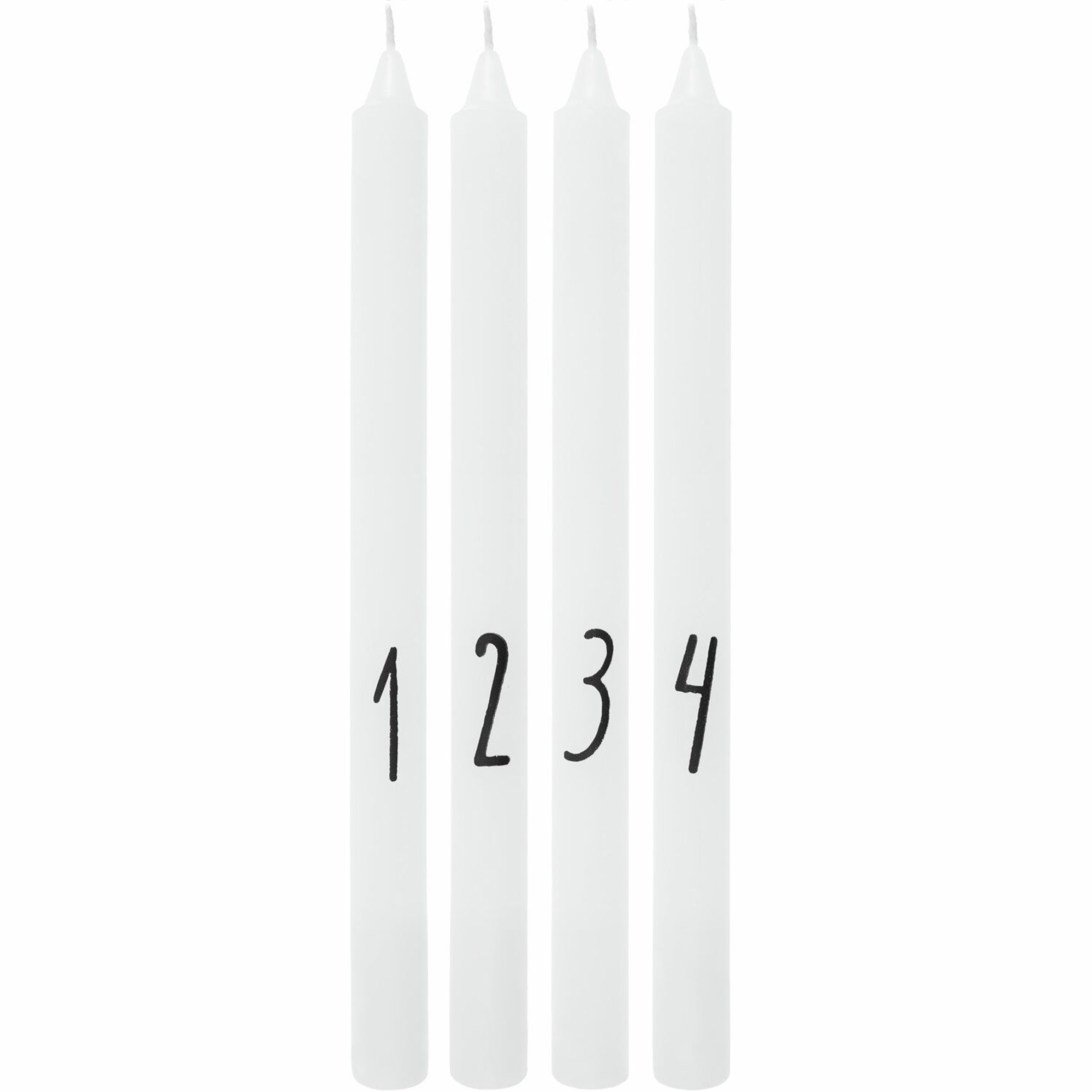 Zaun, Streikposten, Festival, Chanukka Menora