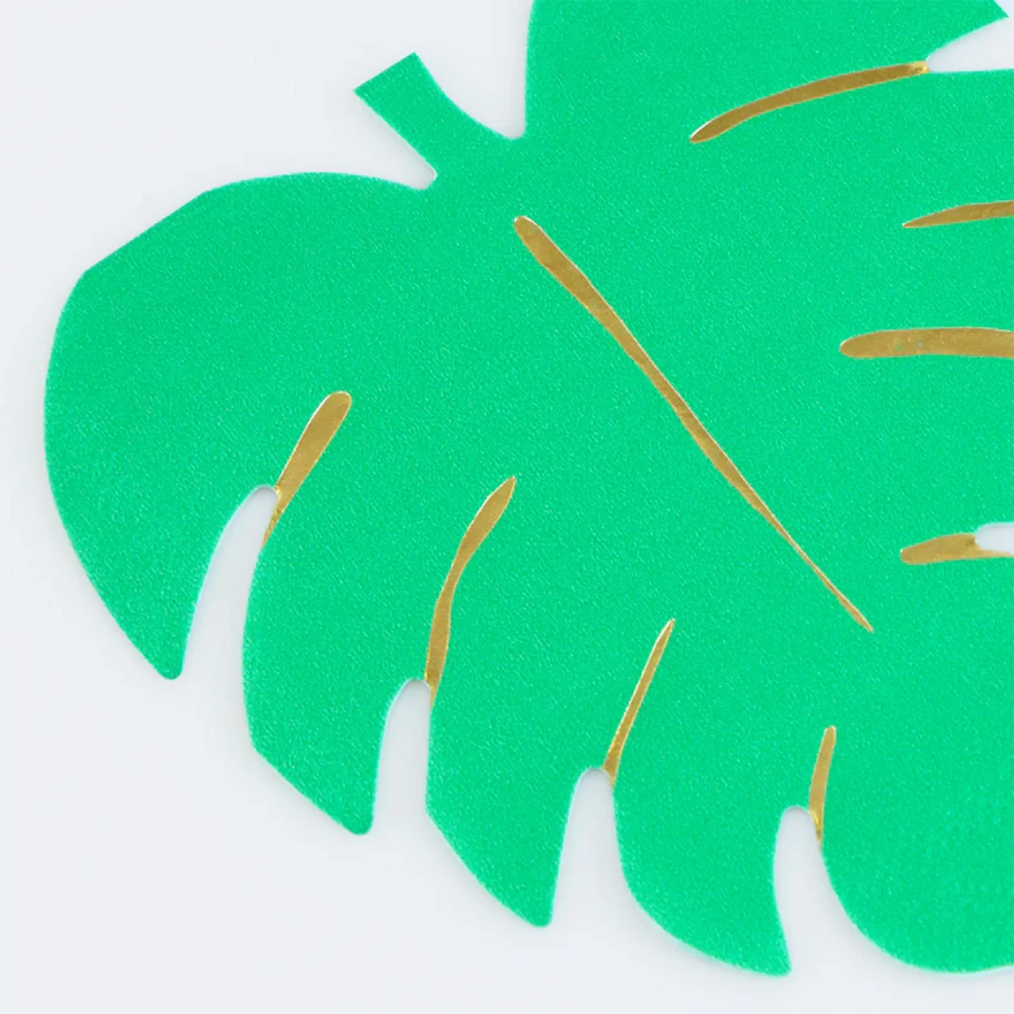 grün, Monstera, Filz, Schablone, Dekoration