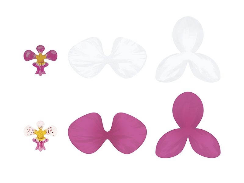 Aloha - DIY Bastelset Orchideen 36 tlg. Aloha - DIY Bastelset Orchideen 36 tlg.