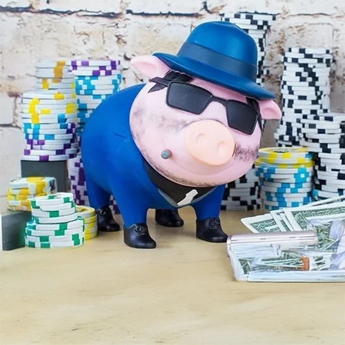 Schwein, Geld, Pokerchips, Geldscheine, Sparschwein