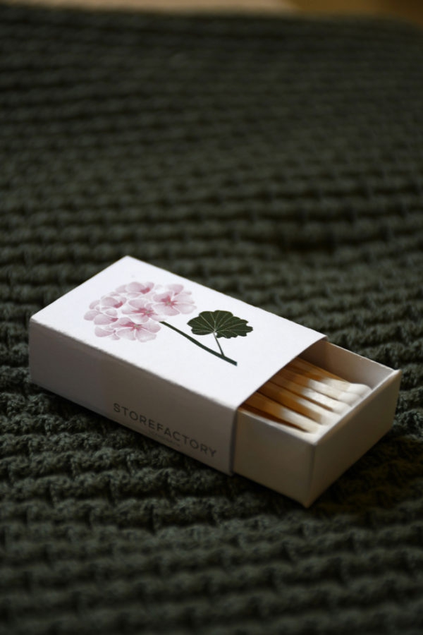 Storefactory - Pelargon Streichhözer Blume Storefactory - Pelargon Streichhözer Blume