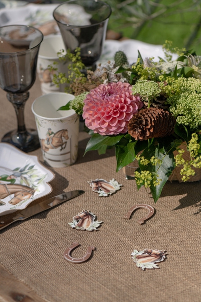 Pferde Party - Streudeko Pferde Party - Streudeko