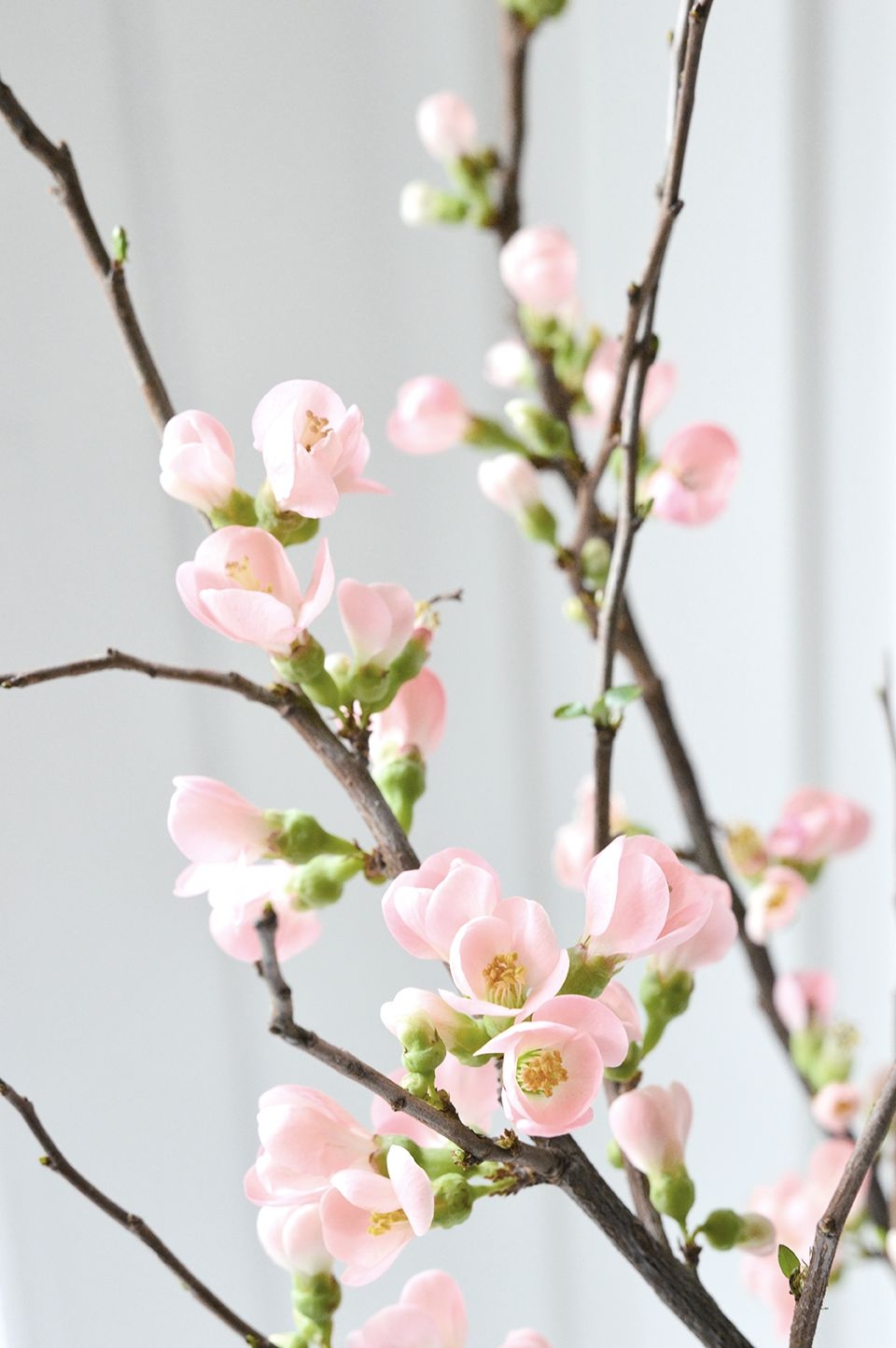 Ornament Ei - warmes Grau Ornament Ei - warmes Grau